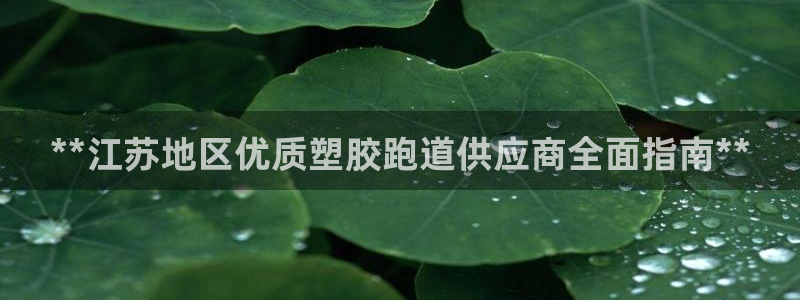 红足一生世：**江苏地区优质塑胶跑道供应商全面指南**