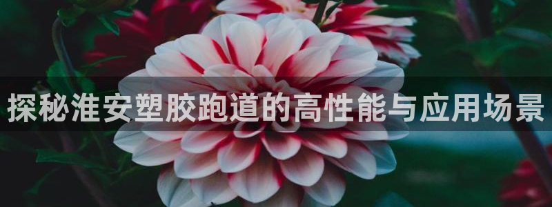 红足一1世皇冠地址