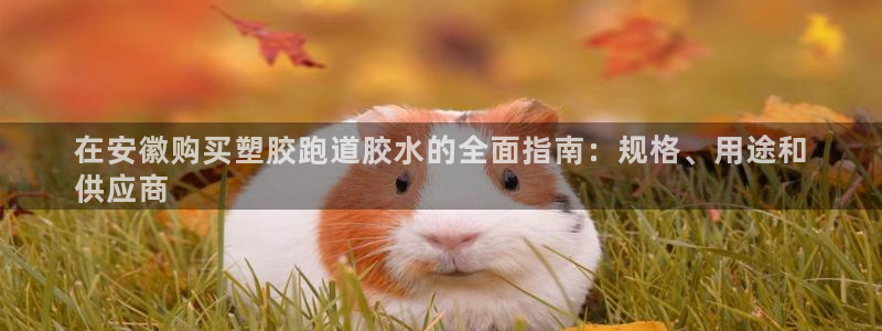 红足1一世足球手机