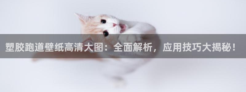 红足1一世红：塑胶跑道壁纸高清大图：全面解析，应用技巧大揭秘！