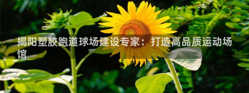 红足一1世66814