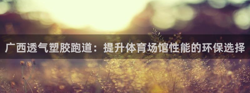 红足1世足球比分预测：广西透气塑胶跑道：提升体育场馆性能的环保选择