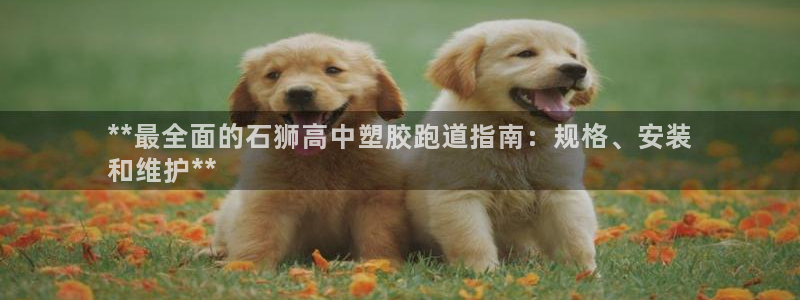 红足1世足球网址：**最全面的石狮高中塑胶跑道指南：规格、安装
和维护**