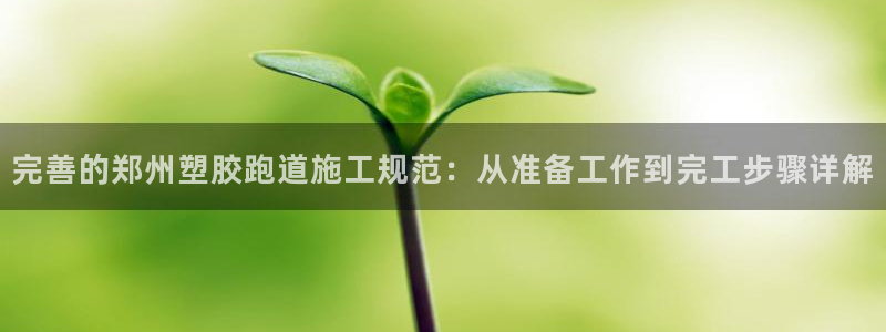 红世一足球比分：完善的郑州塑胶跑道施工规范：从准备工作到完工步骤详解
