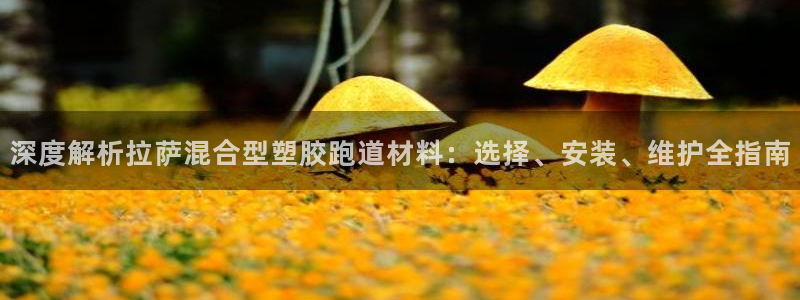 666814红·足一世比分：深度解析拉萨混合型塑胶跑道材料：选择、安装、维护全指南