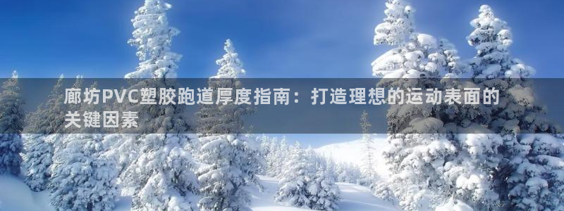 666814红·足一世比分：廊坊PVC塑胶跑道厚度指南：打造理想的运动表面的
关键因素