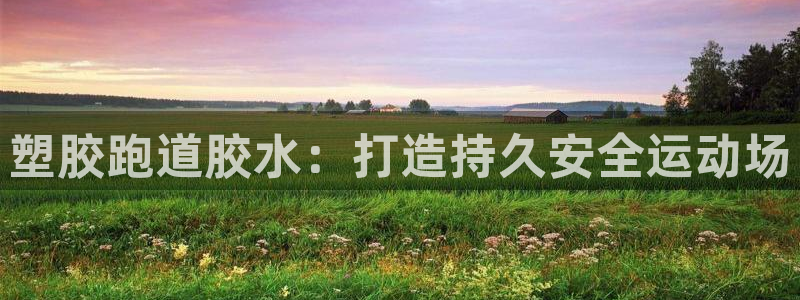 红足1一世开奖版：塑胶跑道胶水：打造持久安全运动场