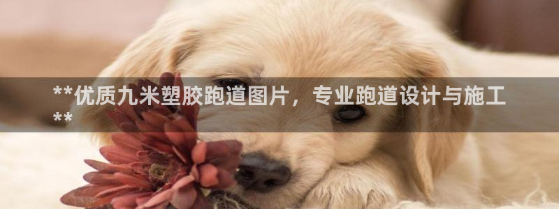 红足一1世手机开奖：**优质九米塑胶跑道图片，专业跑道设计与施工
**