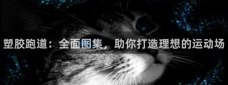 百度红足一1是为什么：塑胶跑道：全面图集，助你打造理想的运动场