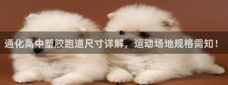 百度红足一1视频在线观看：通化高中塑胶跑道尺寸详解，运动场地规格需知！