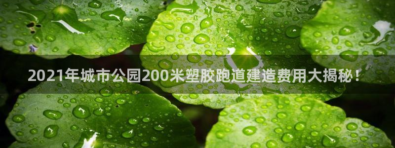 红足l一世开奖现场62ty：2021年城市公园200米塑胶跑道建造费用大揭秘！