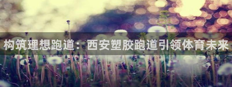 红足一丰：构筑理想跑道：西安塑胶跑道引领体育未来