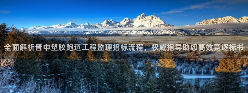 红足一1世66814：全面解析晋中塑胶跑道工程监理招标流程，权威指导助您高效竞逐标书